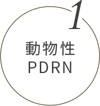 動物性PDRN