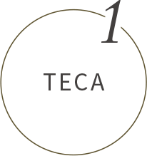 TECA