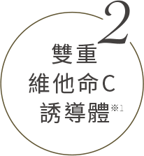雙重維他命C