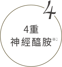 4重神經醯胺